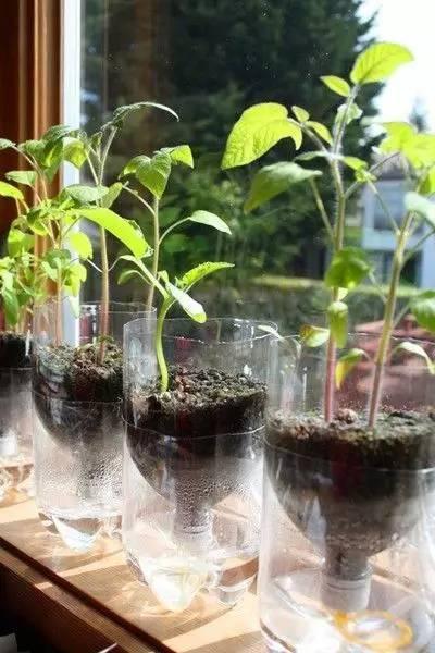 自制便攜收納盒,你家閑置的飲料瓶還能做這些？！
